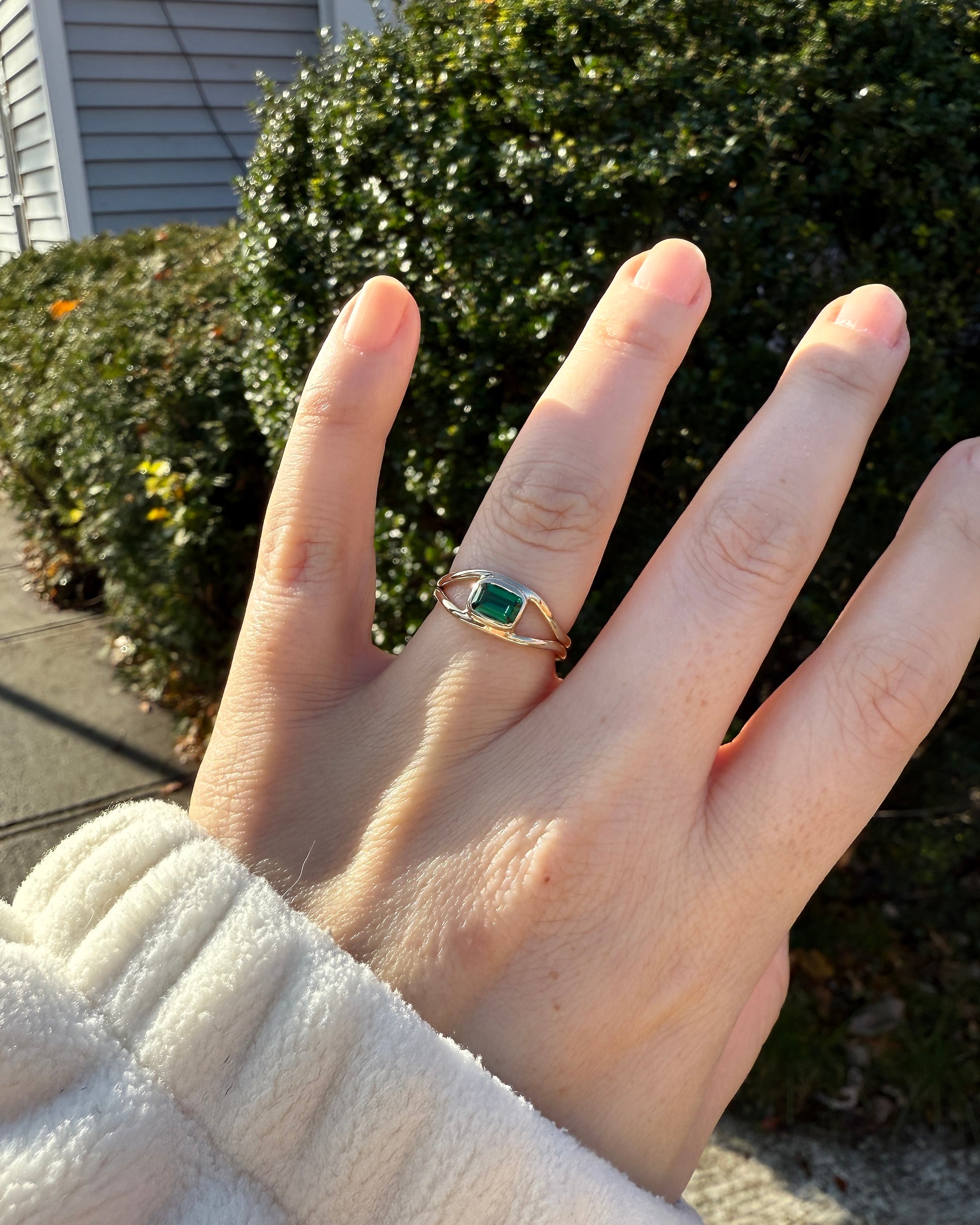 The Horizon Ring