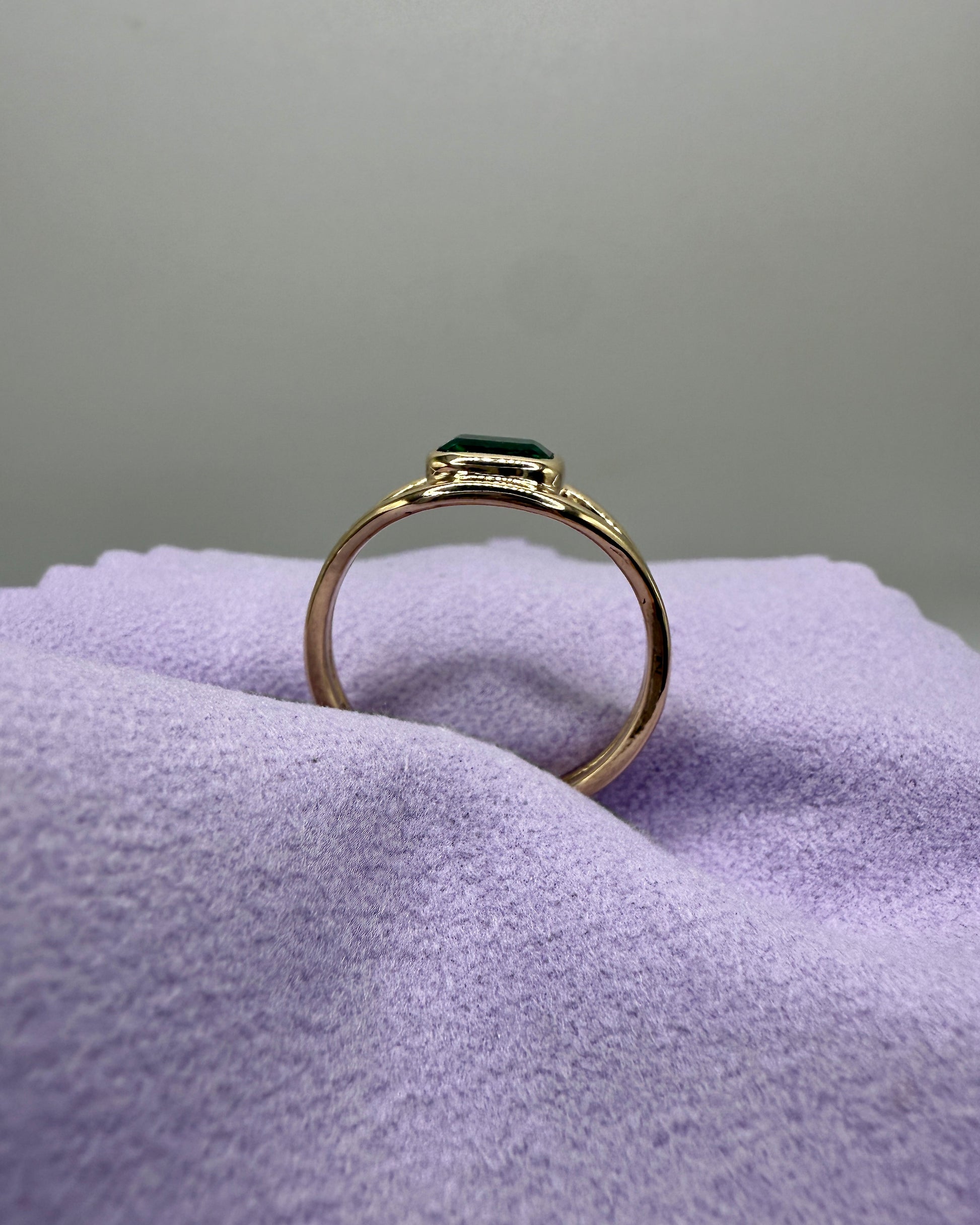The Horizon Ring