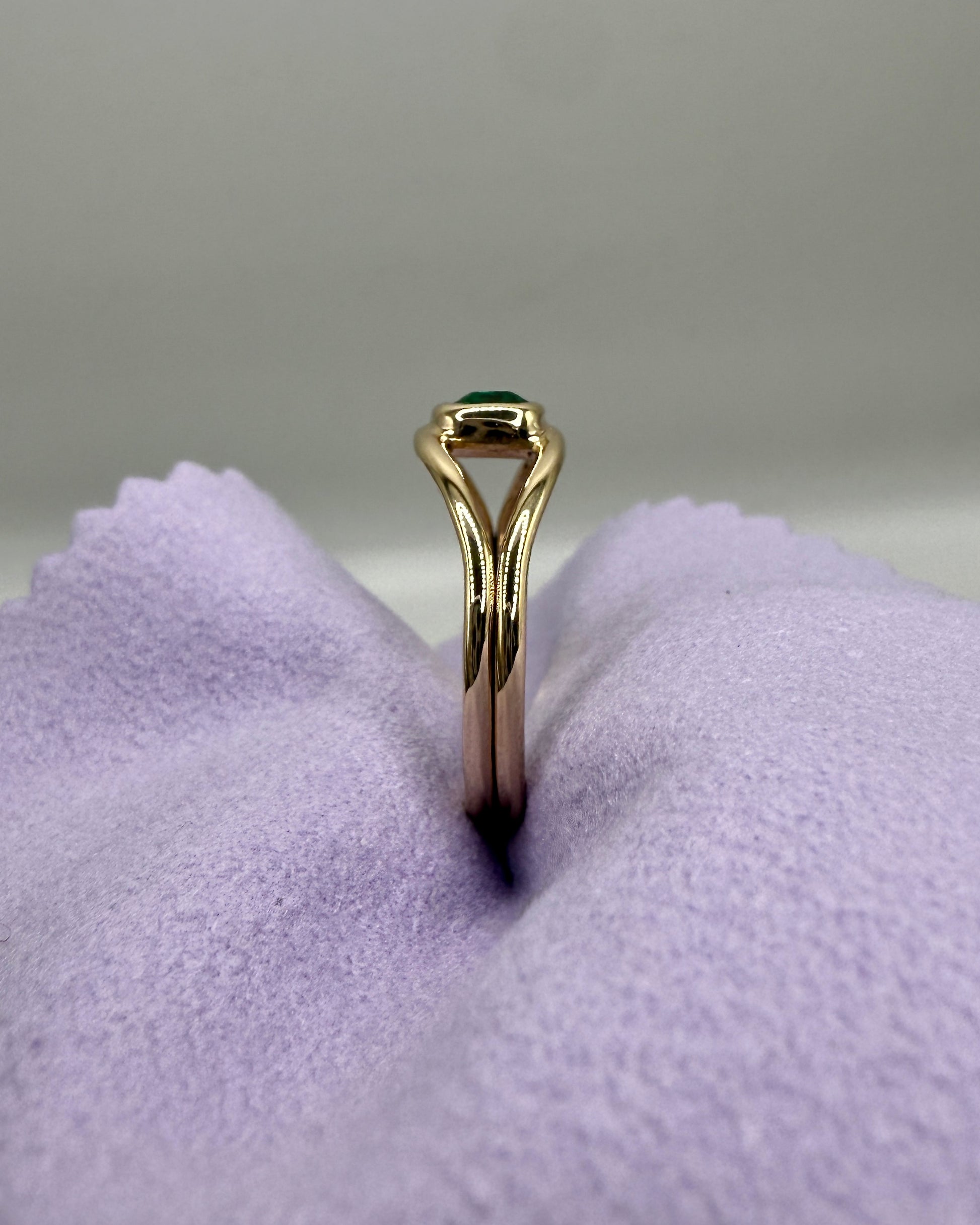 The Horizon Ring