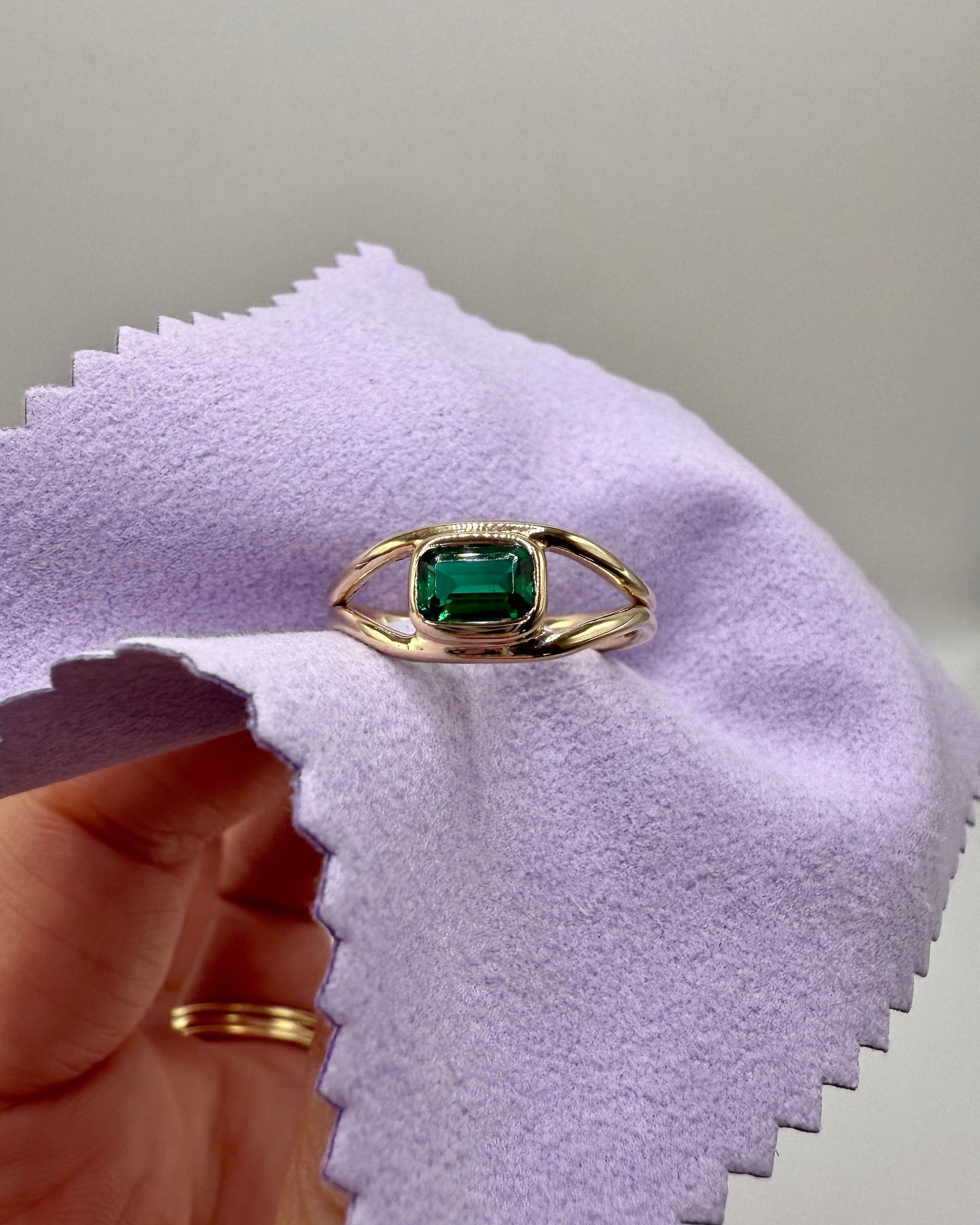 The Horizon Ring