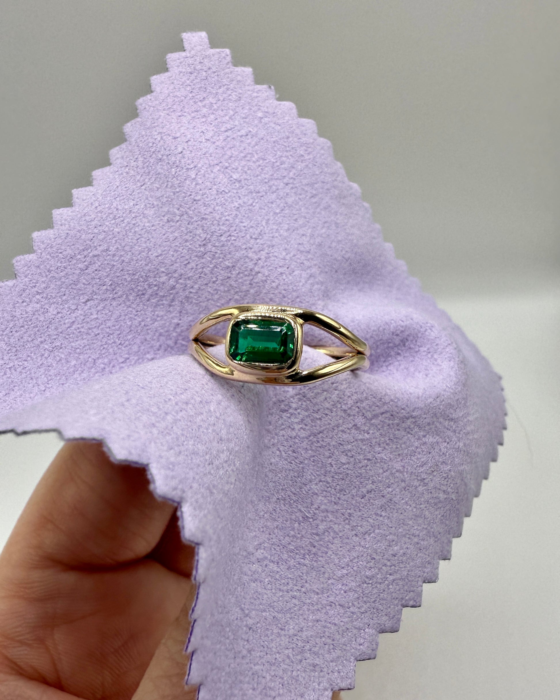 The Horizon Ring