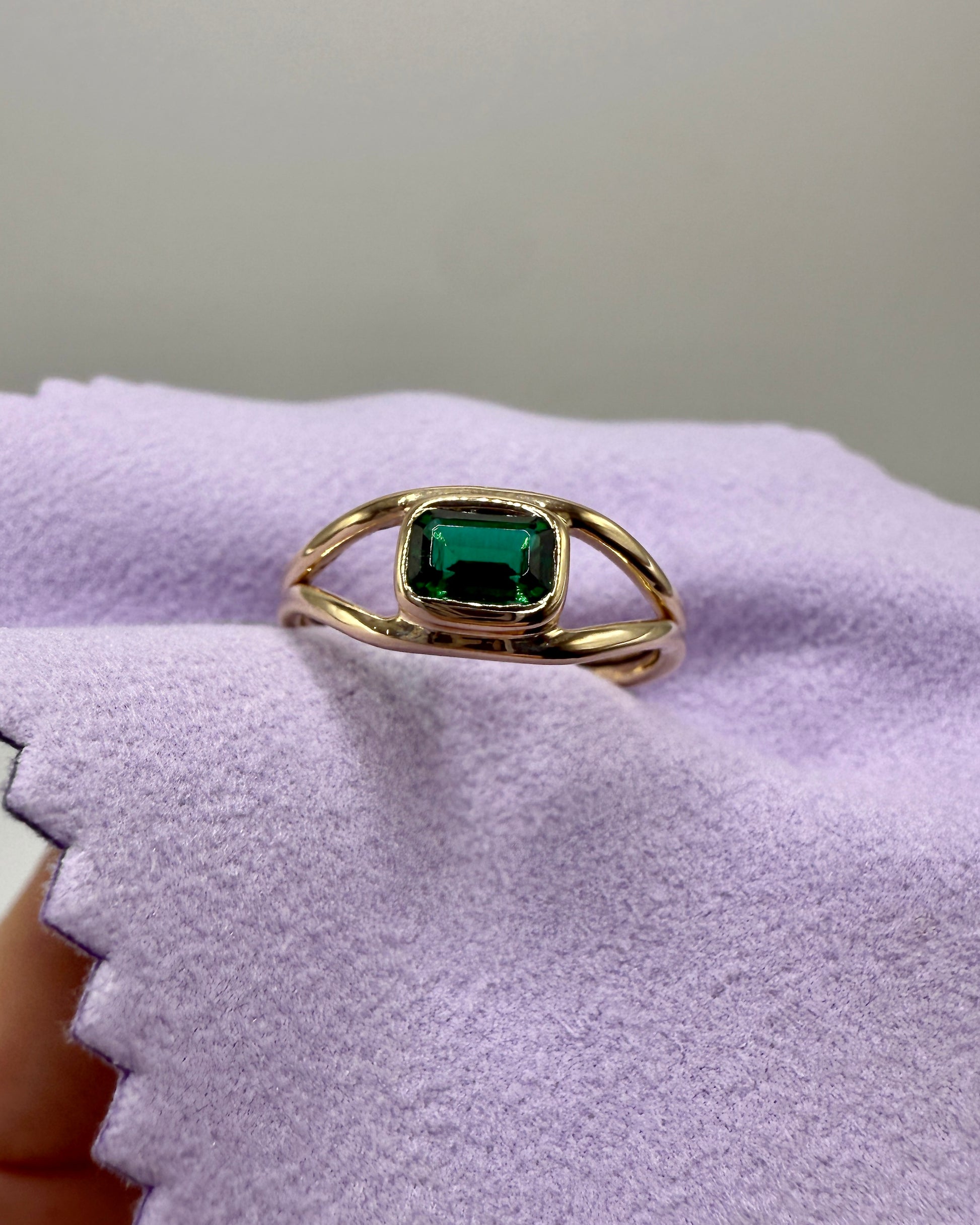 The Horizon Ring