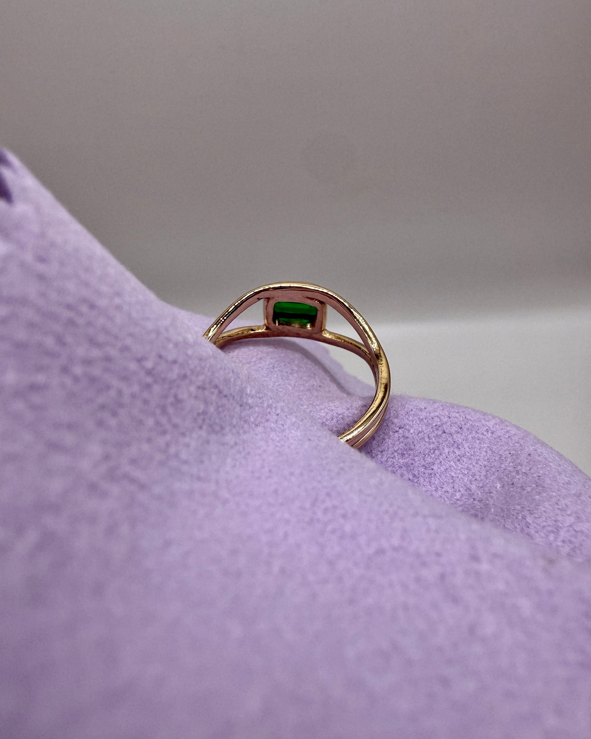 The Horizon Ring