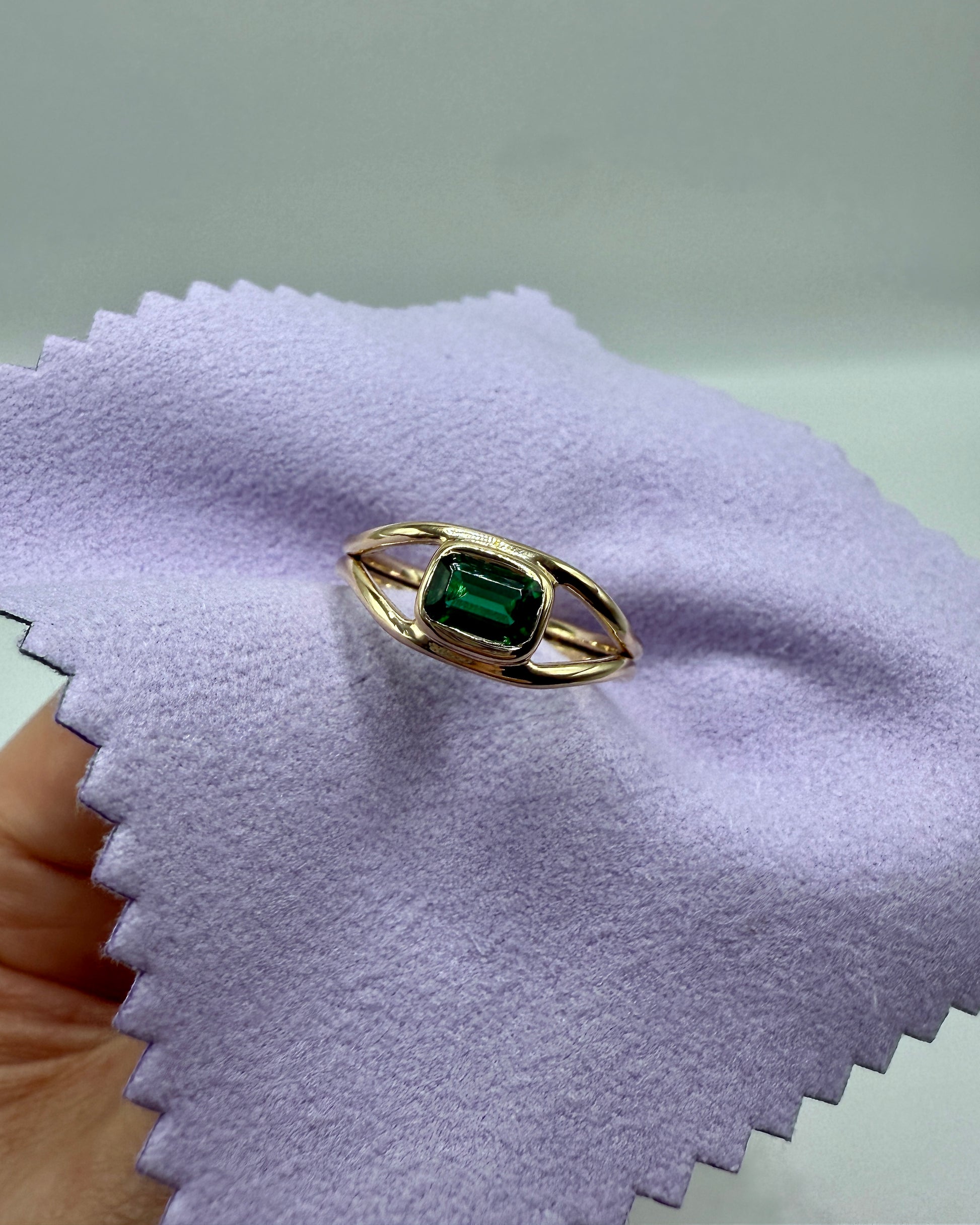 The Horizon Ring